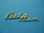 1955-56 Bel Air Gold Dash Script